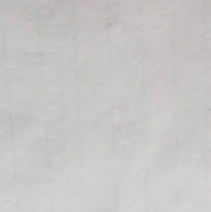 Meet your Posher, Santiago